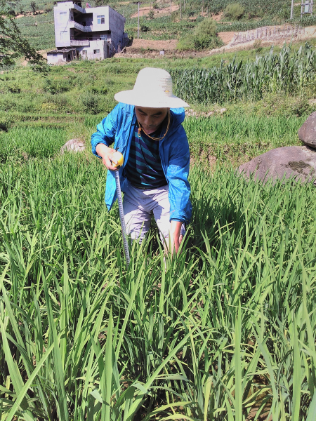 ũ����Ա���ָ��ˮ������