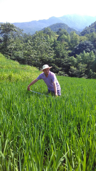 ũ����Ա���ָ��ˮ������