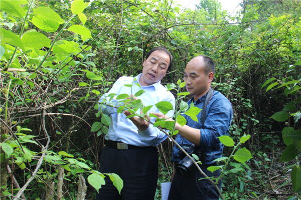 л������һͷũ��ս�ߵ�����ţ