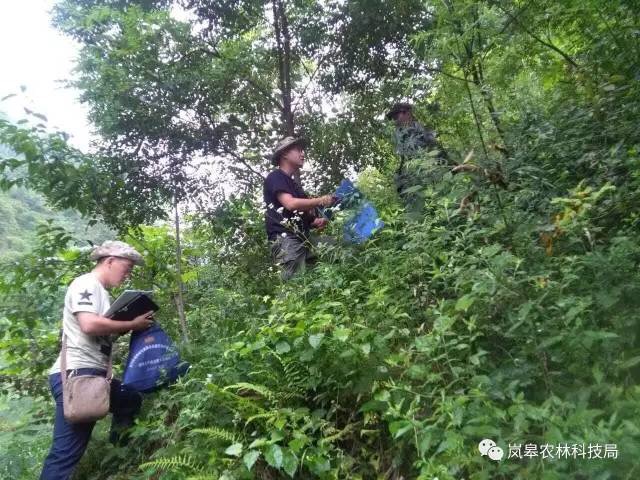 ����ɫ�㽶��� Я��ɫ�������������28365356�������ߴ�ѧ��־Ը��������