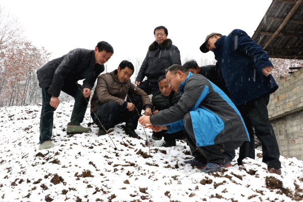 �磬ѩ���꣬᰸�ũ�ֿƼ���