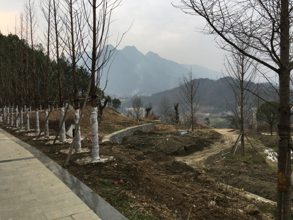 ����ɽ��ɽ��ϡֲ��԰�̻����������ƽ�