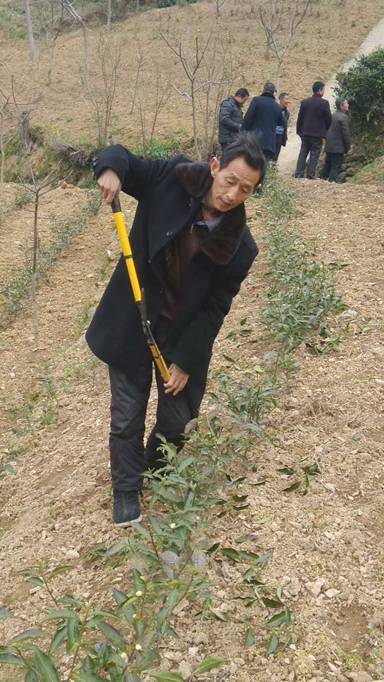 �����ߵ�����