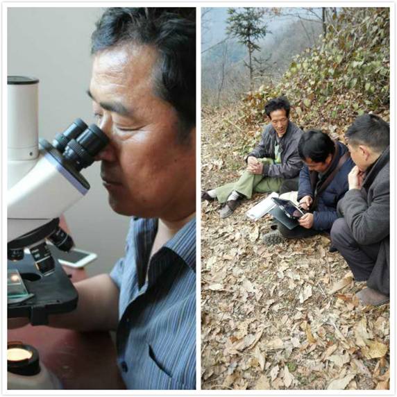 �����ߵ�����