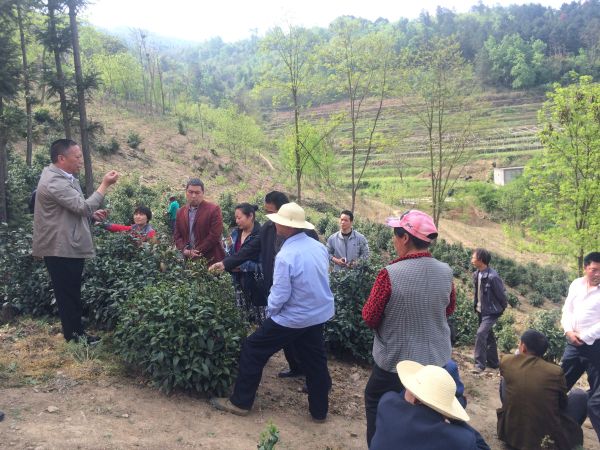 �����ߵ�����