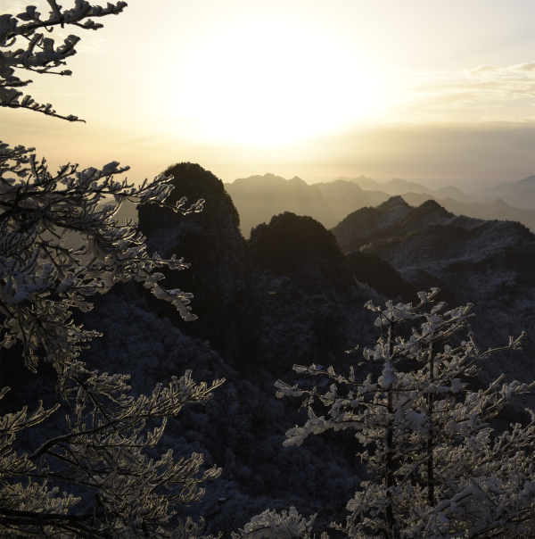 �Ϲ�ѩ���뻭��