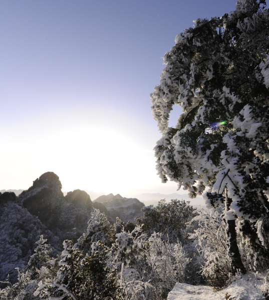 �Ϲ�ѩ���뻭��