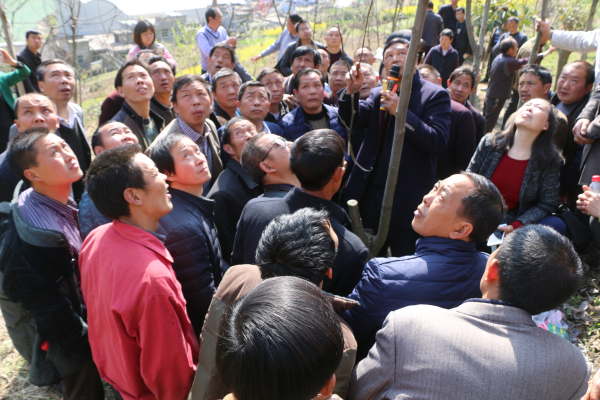 ����ͷ�����澭������᰸��ؿ�չ���Ҳ�ҵ������Ч������ѵ