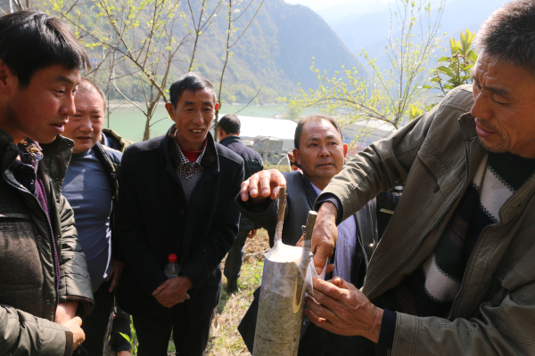 ����ͷ�����澭������᰸��ؿ�չ���Ҳ�ҵ������Ч������ѵ