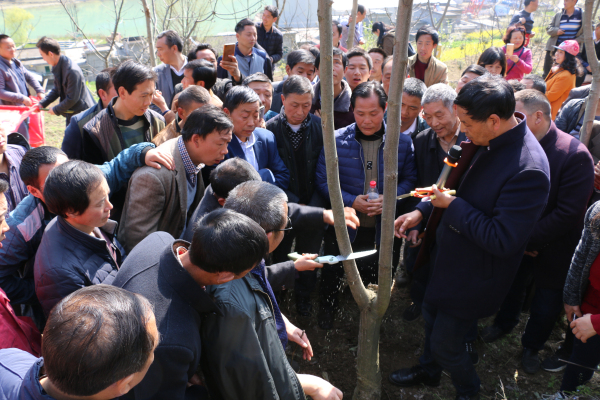 ����ͷ�����澭������᰸��ؿ�չ���Ҳ�ҵ������Ч������ѵ