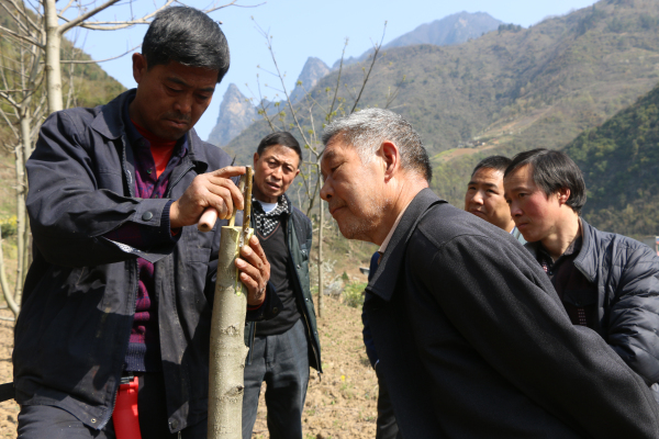 ����ͷ�����澭������᰸��ؿ�չ���Ҳ�ҵ������Ч������ѵ