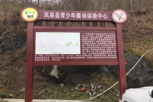 ᰸���������ɭ���������Ľ���