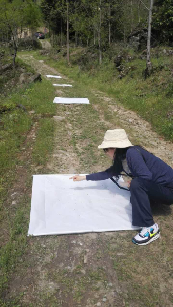 ᰸�����ɷɲ�����1.5��Ķ