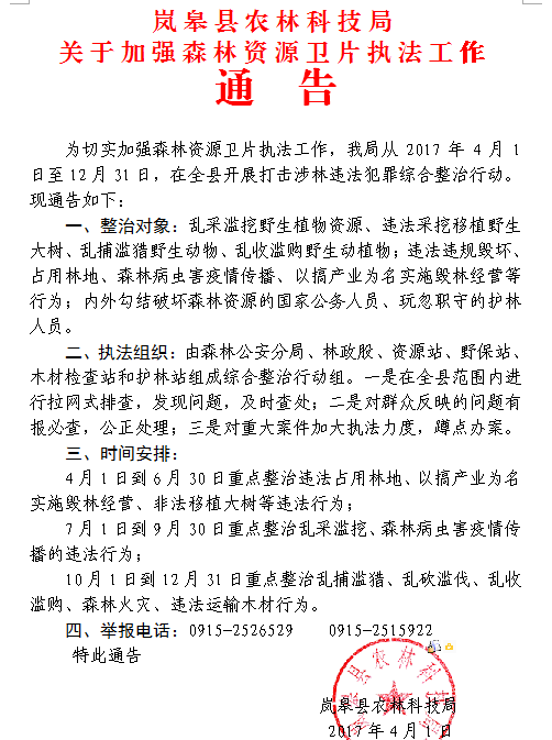 ���ڼ�ǿɭ����Դ��Ƭִ��������ͨ��