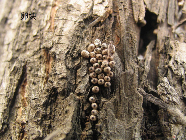 �������Ӵ�϶���μ���