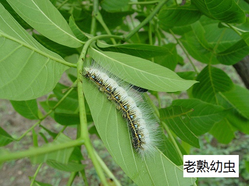 �������Ӵ�϶���μ���