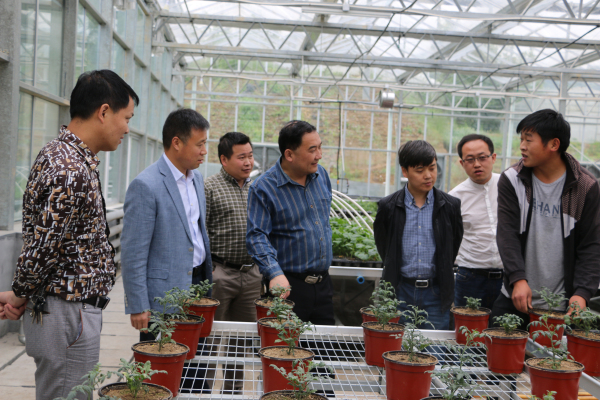 ��ũҵ�ۺ�ִ��֧�Ӽ�����ء�ʳ��ũ��Ʒ�ϸ�֤��ʹ�����