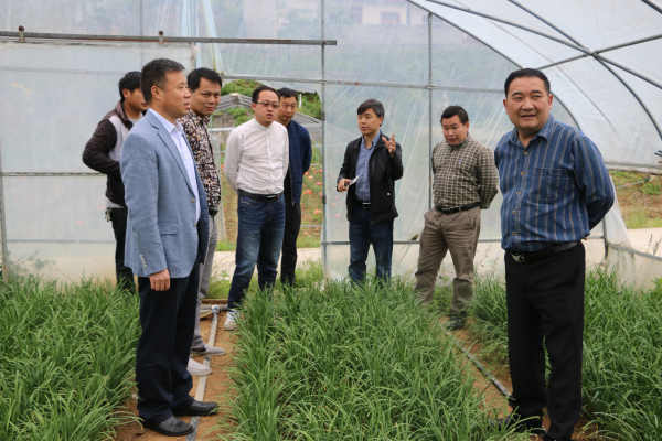 ��ũҵ�ۺ�ִ��֧�Ӽ�����ء�ʳ��ũ��Ʒ�ϸ�֤��ʹ�����