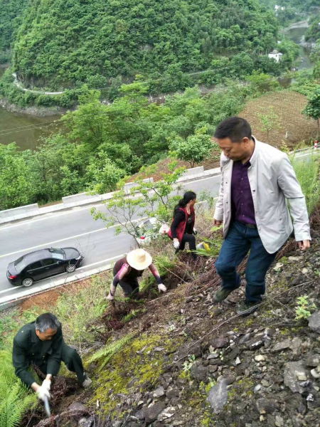 �����ϵĴ���