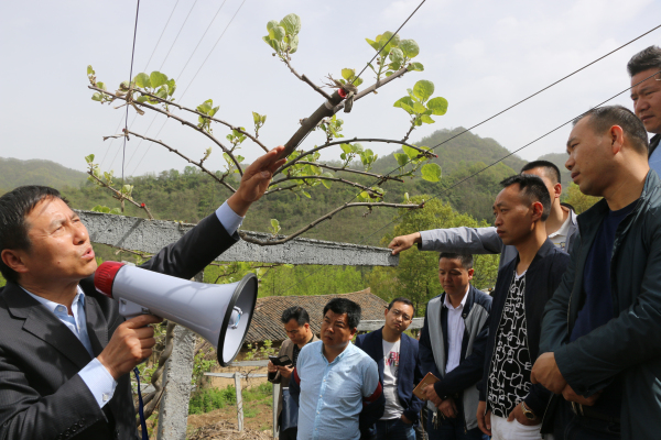 ᰸ޣ��Ƽ�����ص�ͻ����Ч����