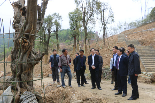 ˭�������ϵ۵ĵ�ɫ��