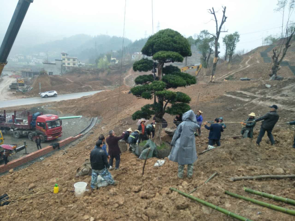 ˭�������ϵ۵ĵ�ɫ��