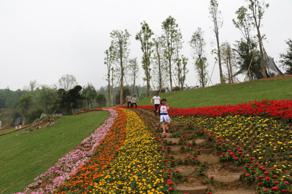 ˭�������ϵ۵ĵ�ɫ��