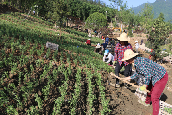 ˭�������ϵ۵ĵ�ɫ��