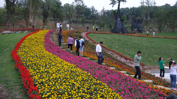 ˭�������ϵ۵ĵ�ɫ��