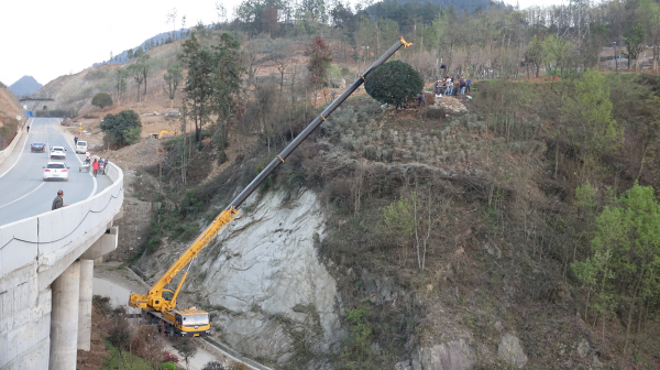 ˭�������ϵ۵ĵ�ɫ��