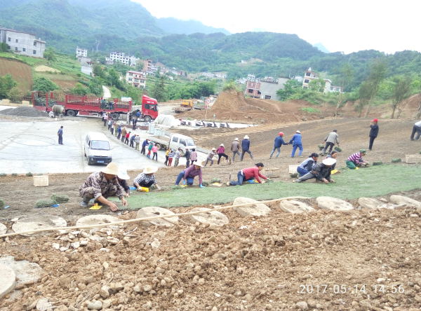 ˭�������ϵ۵ĵ�ɫ��