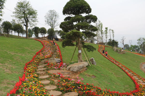 ˭�������ϵ۵ĵ�ɫ��