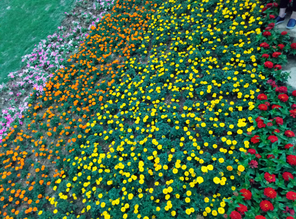 ˭�������ϵ۵ĵ�ɫ��