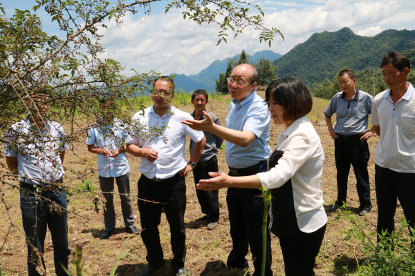 ��ũ����ѧԺԺ��κ���ǵ������ػ�����ҵ