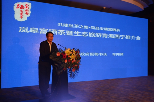 ����᰸޲����ƽ���������