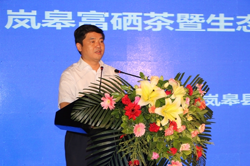 ����᰸޲����ƽ���������