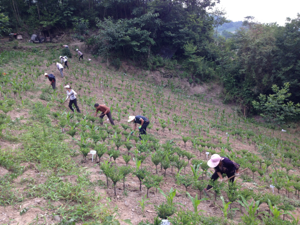 ũ�ֿƼ��֣���ǿħ��������