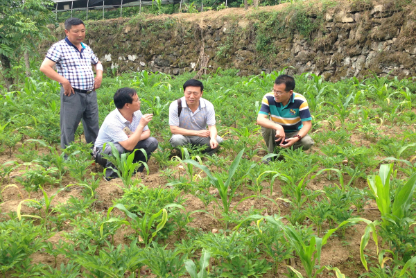 ����ũ�ֿƼ���ѧ��������᰸�ָ��ħ���ҵ