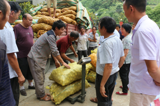 ʯ���򣺶������������չ� ũ�����ϡ������衱