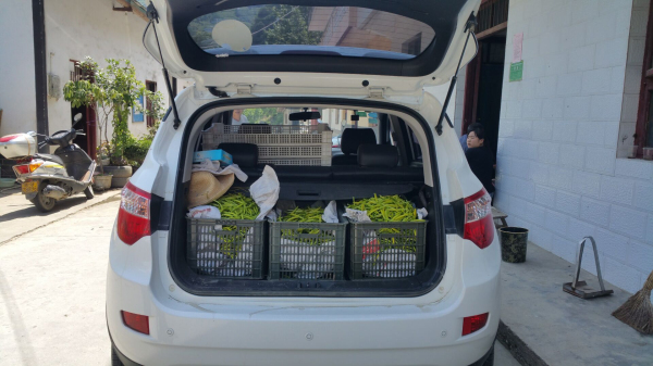 �ڴ�԰����׼ʱ׼���չ� ȫ��ȫ���ƶ