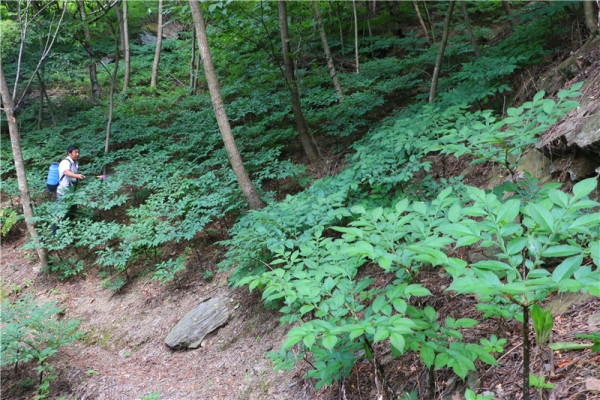 ���й�ħ��֮�硱������γɵġ���д��᰸�ħ�����·�չ��ʮ��֮��