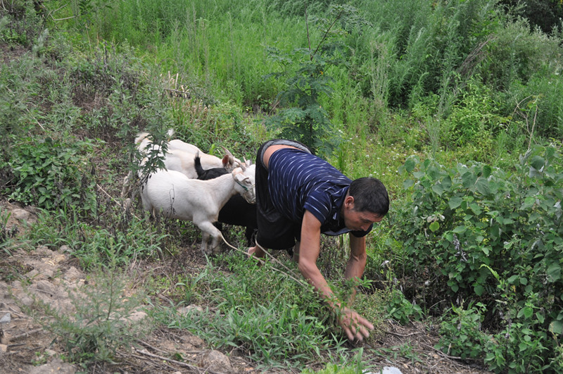 刘志军:爬出来的坚强