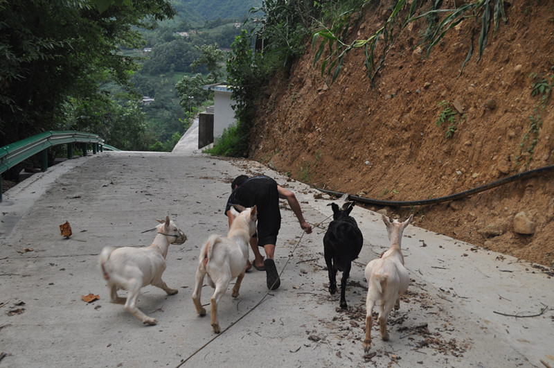 刘志军:爬出来的坚强