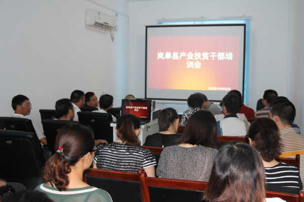 ᰸�: �ٰ��ҵ��ƶ�ɲ���ѵ��