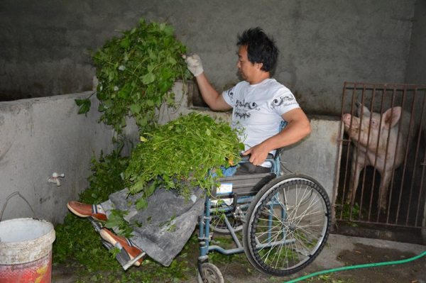 �����ϵġ����ġ�