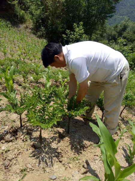 ����ϵ�����Ⱥ��Ҳ�ᱨ�����