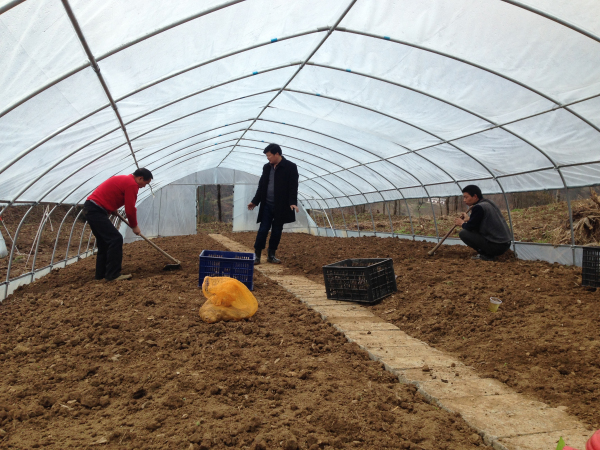 ����ϵ�����Ⱥ��Ҳ�ᱨ�����