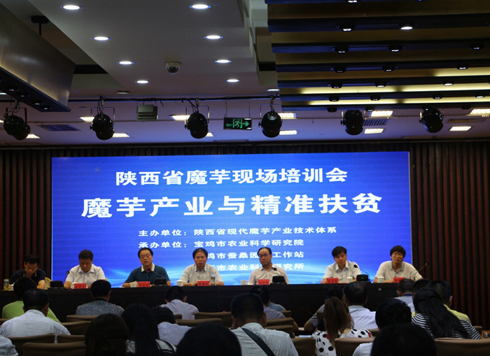 ����ʡħ���ֳ���Ħ��ѵ���ڱ����ɹ��ٿ�