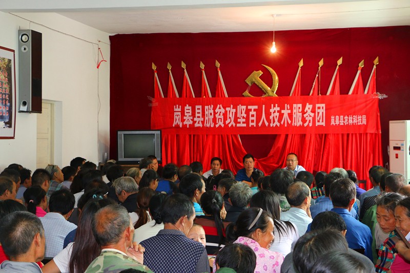 ũ�ֿƼ��֡��ͷ����硱����������ƶ����