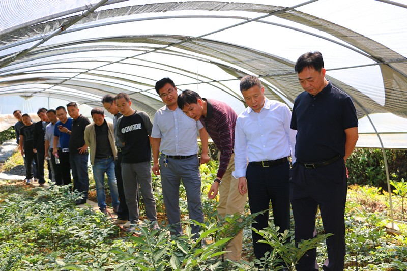 ���˴��Ӳ�ȫ�ز�ҵ��ƶ����